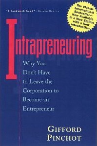 Intrapreneuring: Why You Don’t Have to Leave the Corporation to Become an Entrepreneur 